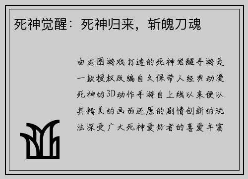 死神觉醒：死神归来，斩魄刀魂